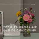포지포레 생화 꽃정기배송 후기 - 신선한 꽃을 집에서 만나보세요