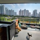 덕분이야모든개 이미지