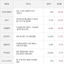 미르코퍼레이션주