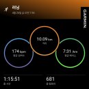 서10-402 | 2026 서울하프마라톤 서하마 10K 완주후기 :: 혼자서도 잘해요
