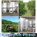 가한인터내셔날