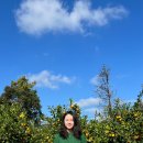 크로베산방 이미지