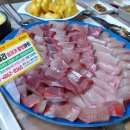 방어진밧데리 이미지