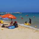 코발트블루 이미지