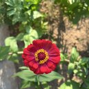 용남초 그리고 농교연 이미지