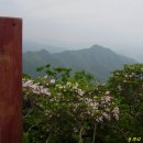 진주 허추 부부 묘 석물 | 야생화와 잔치하며 이룬 [예봉산-운길산]종주 산행 (2009/05/10 감미로운 Nana Mouskouri 모음곡)