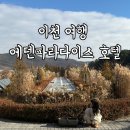 이천 여행 에덴파라다이스 호텔 후기, 정원 너무 예쁜 곳! (세상의모든아침, 티하우스에덴)