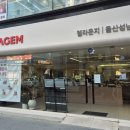 세라젬웰라운지울산성남점 네이버블로그