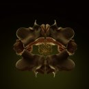 치킨클럽 이미지