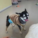 건강나누리약국 이미지