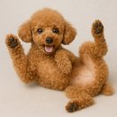 (12/18) 평생학습주간_미묘한 견주생활 | 🐶 2025 한국 반려견 인기순위 TOP20은? 품종별 성격·국적·털빠짐·배변·건강관리 한눈에