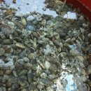 고사리민박 이미지