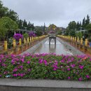 플라워 가든 (상훈촬) 이미지