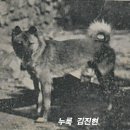 1930년대 개가 정답이다 13 (두태, 동세, 족장) 이미지