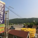 동강현대래프팅