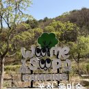 수도캠핑장 | 포천 울미숲 오토캠핑장 재방문 솔직 후기 명당가이드