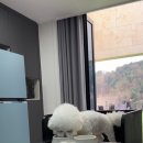 비비&숑숑 반려견펜션 이미지