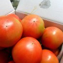 성원농장2 이미지