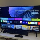 LG OLED TV 48in + Boss speaker 이미지
