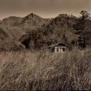 뮤지엄 한미 이미지