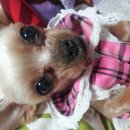 작은구월사거리 이미지