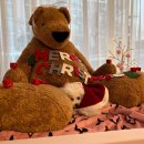 베베 애견유치원 이미지