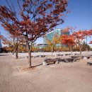 일산문화문화-77 이미지