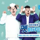 비타민동물메디컬센터 이미지