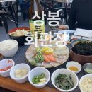판장횟집 | 상봉역 맛집 회판장 모듬회 내돈내산 콜키지 프리 가성비 횟집 후기