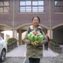 일곡초교 Daum카페