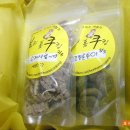 까비애견 이미지