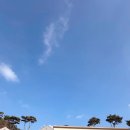 로얄체력단련장 이미지