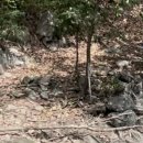 부구초등학교 이미지