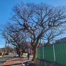 방산2리 마을회관 이미지