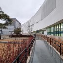 더힐링센터
