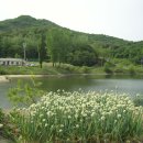 삼뱅이길 Daum카페