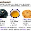 단호박 효능 칼로리 안좋은점 호박먹으면 좋은점 이미지