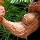 B.D Fitness 이미지