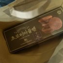 우영치과 | 벚꽃만개를 향해