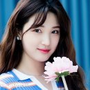 이영재 행정사 사무소 이미지