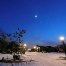 한탄강소나무캠핑 이미지