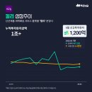 디에스씨네트웍스