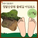 정발산공원 | [고양시 일산동구] 정발산공원 둘레길 어싱로드 황톳길 맨발 걷기