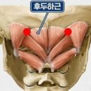 온요가필라테스 센텀점 이미지