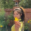투하이 이미지