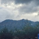 GS25가야점 이미지