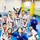 한국체대 비호태권도 이미지