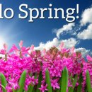 우리집 태양광발전소 이미지