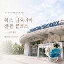 [삼성 DS] 세미콘 스포렉스 출강 후기｜왁스 디오라마 캔들 클래스, 나만의 작은 여름 바다 만들기