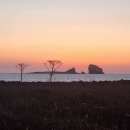 상모리-13 이미지